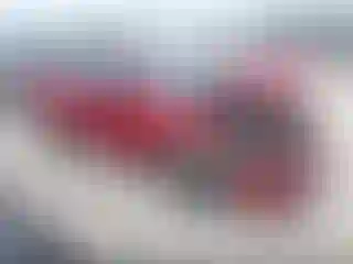 Vehicle Image- 2009 Ford Focus