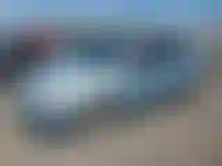 Vehicle Image- 2008 Ford Focus