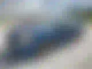 Vehicle Image- 2008 Ford Focus