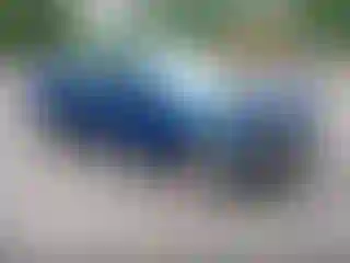 Vehicle Image- 2009 Ford Focus