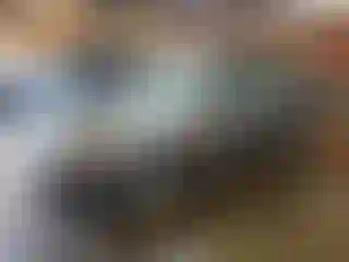 Vehicle Image- 2009 Ford Focus