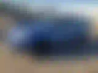 Vehicle Image- 2002 Ford Focus