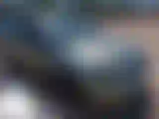 Vehicle Image- 2004 Ford Focus