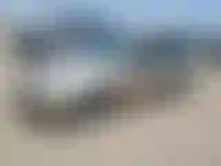Vehicle Image- 2000 Ford Focus