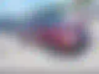 Vehicle Image- 2007 Ford Focus