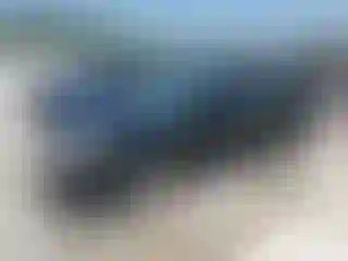 Vehicle Image- 2009 Ford Focus