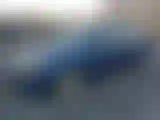 Vehicle Image- 2009 Ford Focus