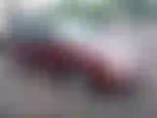 Vehicle Image- 2007 Ford Focus