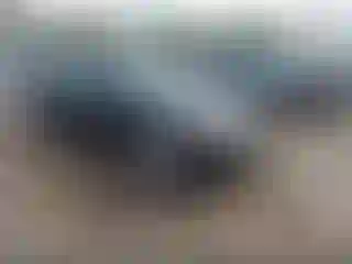 Vehicle Image- 2009 Ford Focus