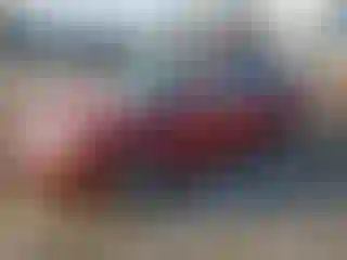 Vehicle Image- 2009 Ford Focus