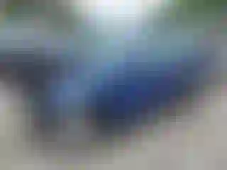 Vehicle Image- 2009 Ford Focus