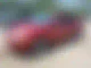 Vehicle Image- 2009 Ford Focus