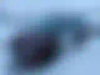 Vehicle Image- 2006 Ford Focus