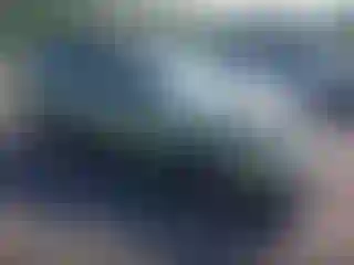 Vehicle Image- 2007 Ford Focus