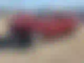 Vehicle Image- 2009 Ford Focus