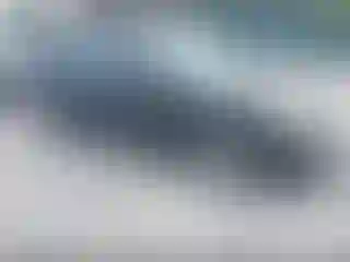 Vehicle Image- 2009 Ford Focus