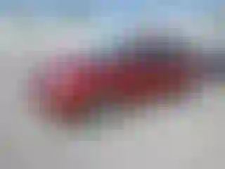 Vehicle Image- 2005 Ford Focus