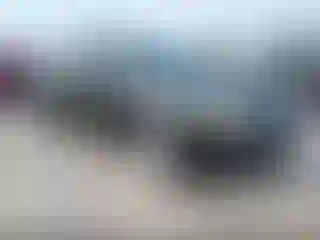 Vehicle Image- 2009 Ford Focus