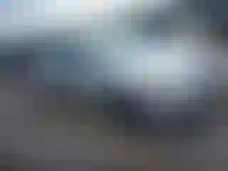 Vehicle Image- 2009 Ford Focus