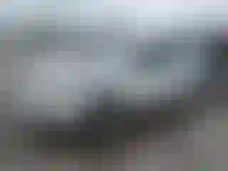 Vehicle Image- 2007 Ford Focus