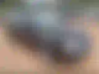 Vehicle Image- 2006 Ford Focus