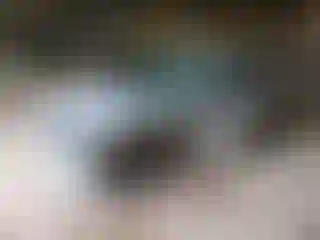 Vehicle Image- 2009 Ford Focus