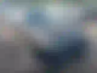 Vehicle Image- 2009 Ford Focus