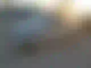 Vehicle Image- 2006 Ford Focus