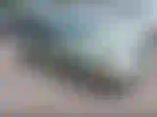 Vehicle Image- 2007 Ford Focus