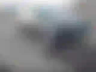 Vehicle Image- 2007 Ford Focus