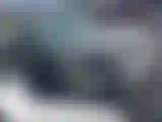 Vehicle Image- 2009 Ford Focus