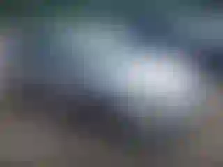Vehicle Image- 2009 Ford Focus