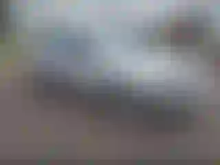 Vehicle Image- 2006 Ford Focus