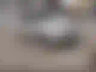 Vehicle Image- 2009 Ford Focus