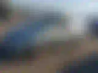 Vehicle Image- 2003 Ford Focus