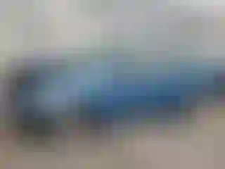 Vehicle Image- 2000 Ford Focus