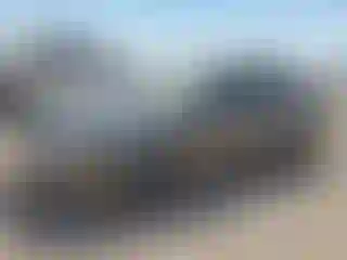 Vehicle Image- 2005 Ford Focus
