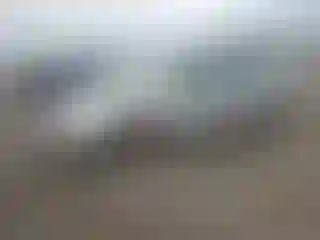 Vehicle Image- 2004 Ford Focus