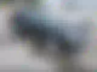 Vehicle Image- 2005 Ford Focus