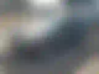 Vehicle Image- 2005 Ford Focus
