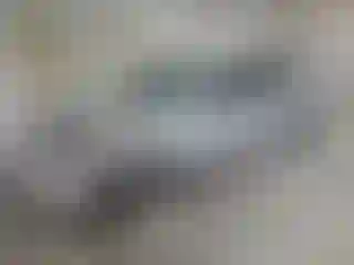 Vehicle Image- 2010 Ford Focus