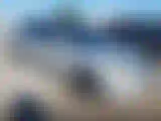 Vehicle Image- 2010 Ford Focus