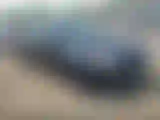 Vehicle Image- 2012 Ford Focus