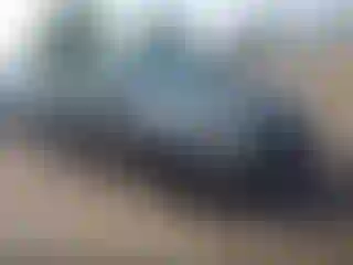 Vehicle Image- 2012 Ford Focus