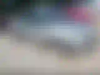 Vehicle Image- 2012 Ford Focus