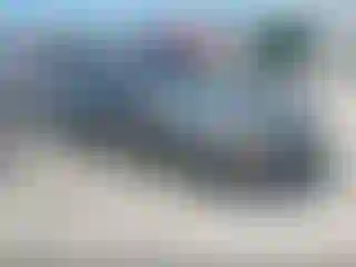 Vehicle Image- 2010 Ford Focus