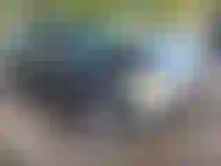 Vehicle Image- 2010 Ford Focus