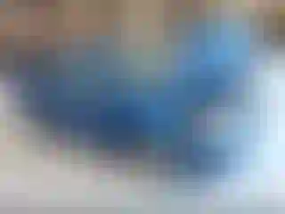 Vehicle Image- 2011 Ford Focus