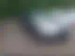 Vehicle Image- 2012 Ford Focus