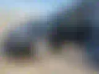 Vehicle Image- 2012 Ford Focus